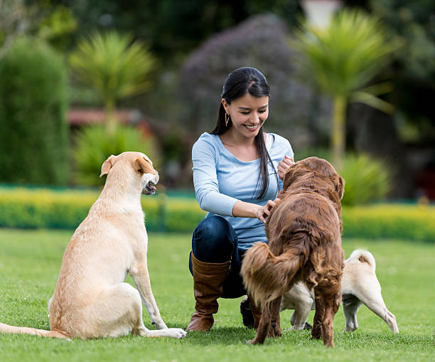 istock Woman playing with adopted dogs 610255344
