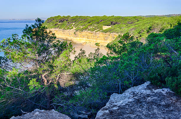 istock Green harbor and beach hidden near Tarragona, Spain 610257152