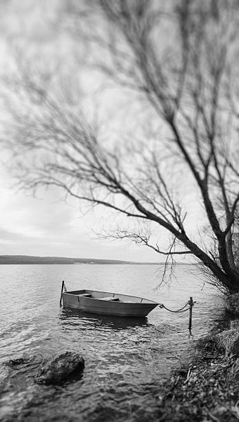 istock Moored boat on lake shore near tree branches 610259648