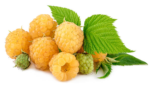 Heap of yellow raspberries