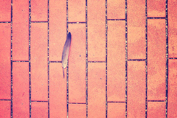Vintage toned feather on a sidewalk, space for text.