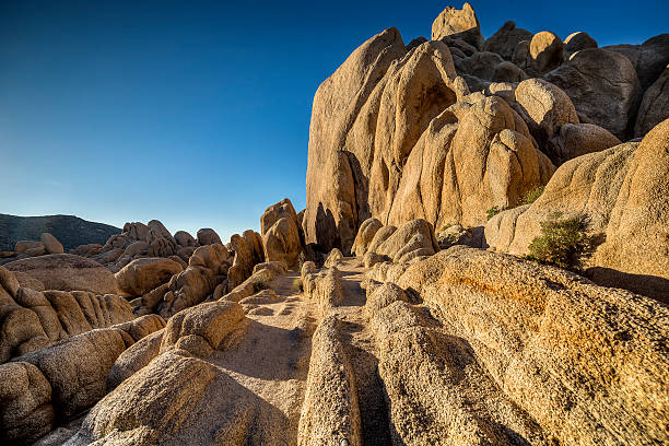 istock Large Boulders at Joshua Tree National Park 610262972