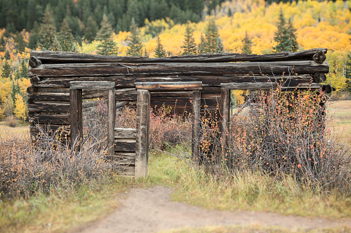 An old log cabin in Ashcroft, Colorado in the Fall.