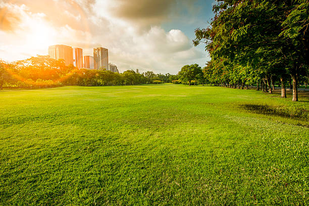 istock beautiful morning light in public park 610409292