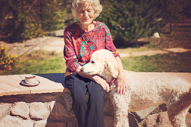 istock Senior Woman Talking to Service Dog 610411754