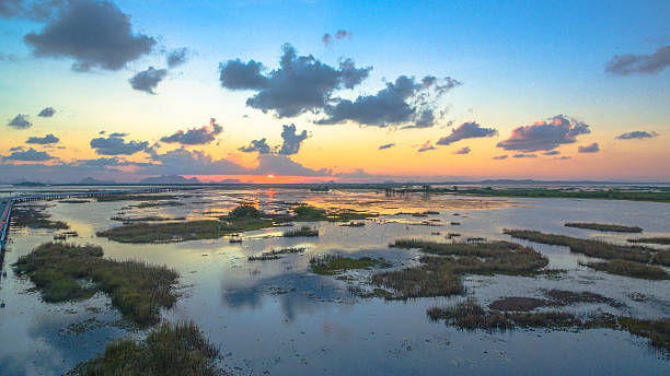 istock aerial view long bridge above the swamp 610411808