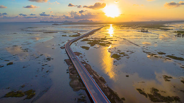 istock aerial view long bridge above the swamp 610412078