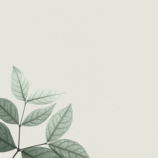 classic color leaves on mulberry paper texture