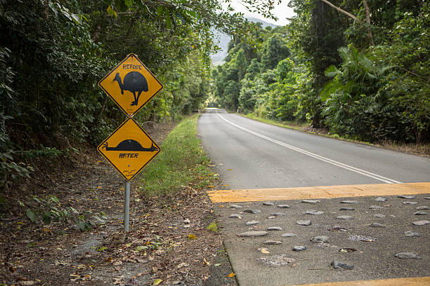 istock Funny cassowary road sign 610414452