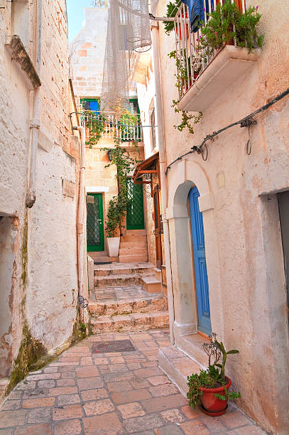 istock Alleyway. Polignano a mare. Puglia. Italy. 610420108
