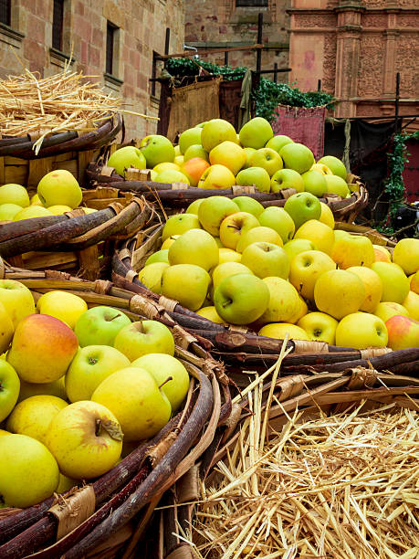 istock Basket full of apples 610420654