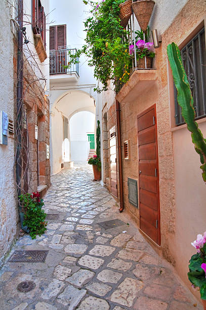 istock Alleyway. Polignano a mare. Puglia. Italy. 610422872
