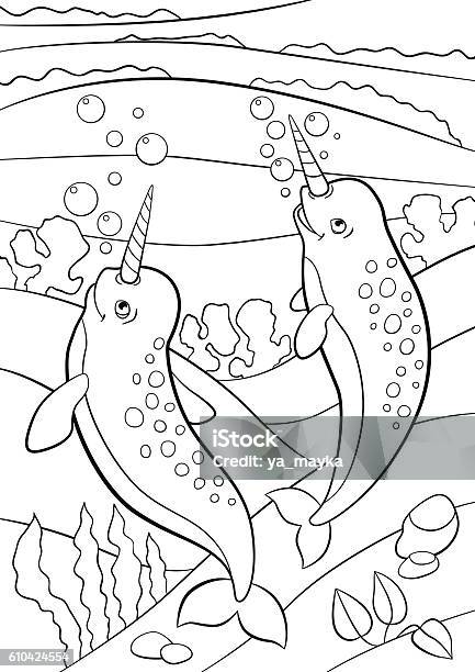 Coloring Pages Two Little Cute Narwhals Swim Underwater Stock Illustration - Download Image Now