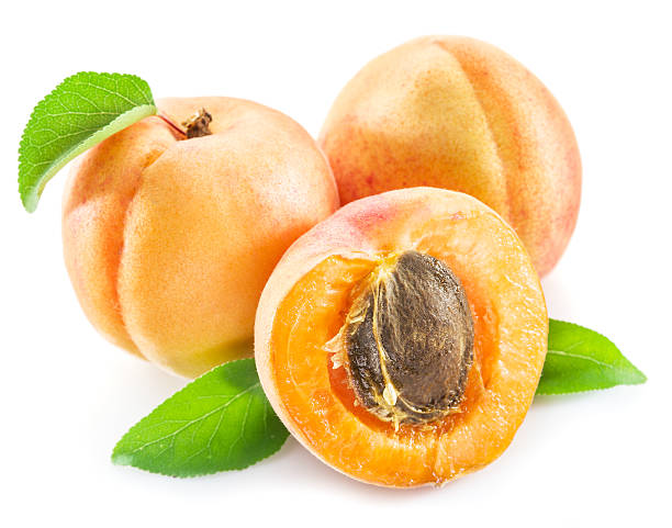 istock Apricots and its cross-section on the white background. 610424582