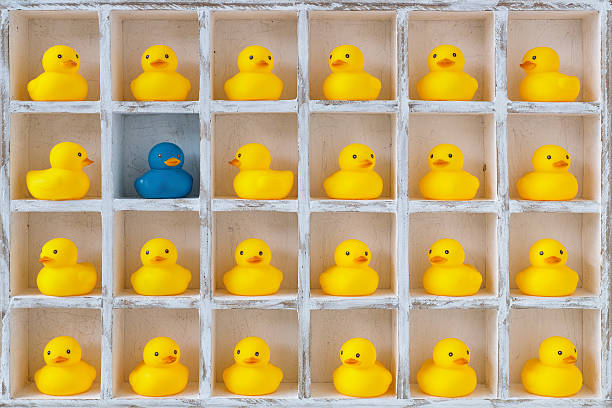 small yellow rubber ducks in pigeon holes, one blue duck. - compartimento de armazenamento imagens e fotografias de stock