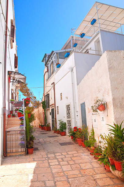 istock Alleyway. Polignano a mare. Puglia. Italy. 610425562