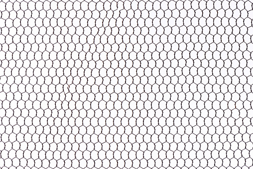 Rusty wire mesh fence isolated on white background.