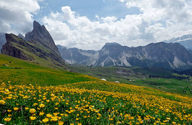 istock Italy, Dolomites, Ortisei, Odle and pastures 610425930