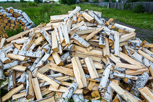 istock The pile of chopped firewood Birch 610426332
