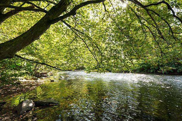 istock Tranquil River Wupper at a sunny September Day 610428750