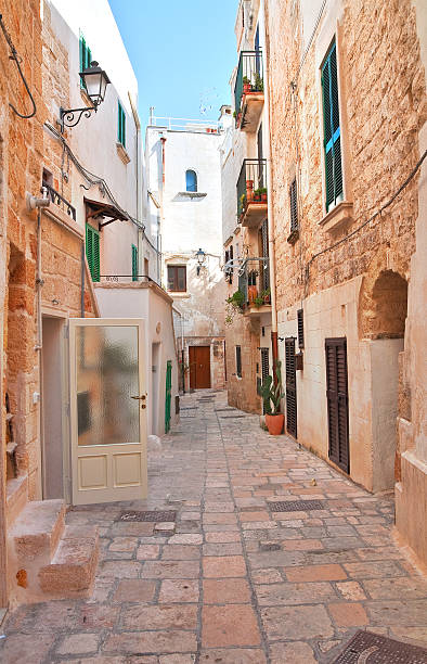 istock Alleyway. Polignano a mare. Puglia. Italy. 610430390