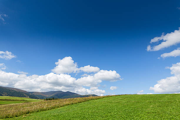 istock Green meadow, mountain and sky with clouds 610431216