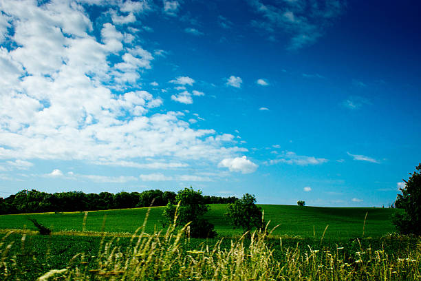 istock Cambridgeshire countryside 610431956