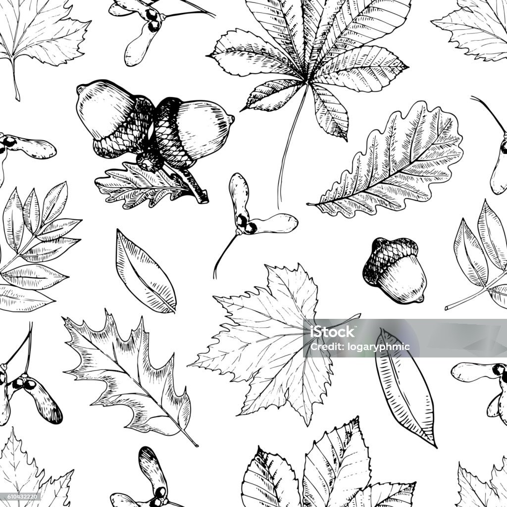 Vector seamless pattern with autumn leaves. Oak, mapple, chestnut, acorns. Vector seamless pattern with autumn leaves. Hand drawn vintage style engraved art. Oak, mapple, chestnut, acorns. Use for textile, design, wrapping paper, store Acorn stock vector