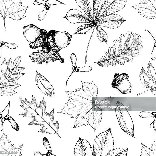 Vector Seamless Pattern With Autumn Leaves Oak Mapple Chestnut Acorns Stock Illustration - Download Image Now