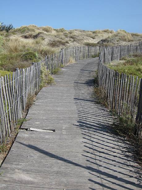 istock Footpath to Beach at Sete, South France 610433818