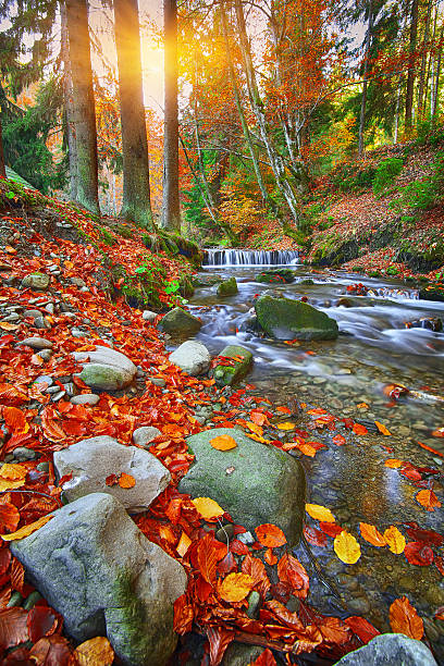 istock Mountain river with rapids and waterfalls at autumn time time 610434738