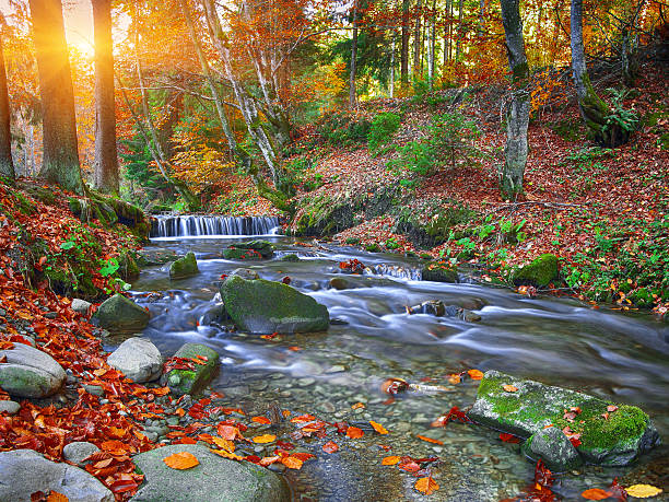 istock Mountain river with rapids and waterfalls at autumn time time 610435132