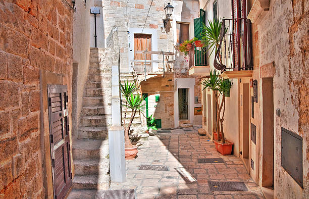 istock Alleyway. Polignano a mare. Puglia. Italy. 610437546
