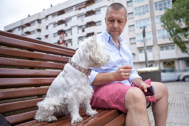 istock Man with the dog in the city 610438090