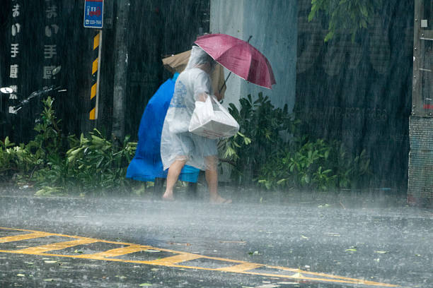 pedestrians crossing street during typhoon megi - tyfoon stockfoto's en -beelden