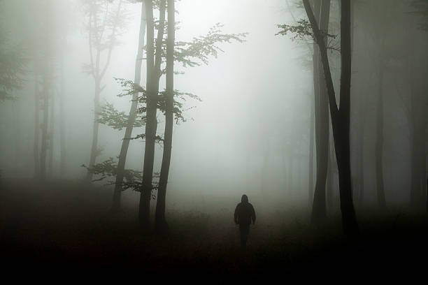 不気味な霧の森の中の暗いホラー男 - トランシルバニア 写真 ストックフォトと画像