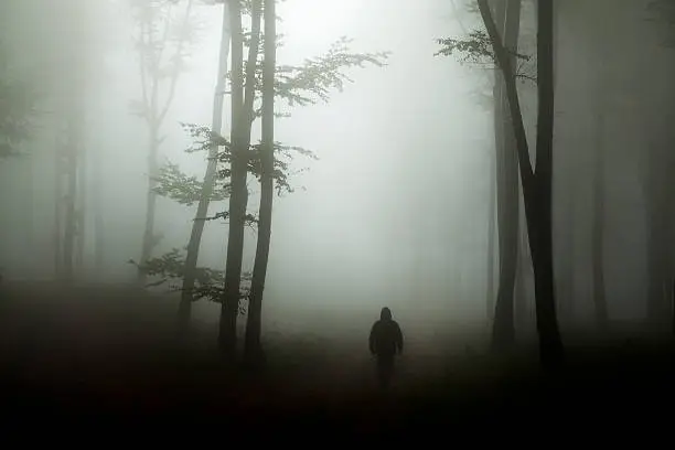 Spooky silhouette in scary misty forest
