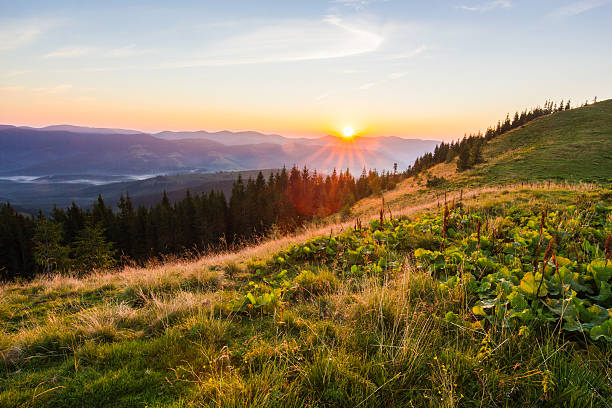 istock Summer sunrise landscape in Carpathian mountains 610440952