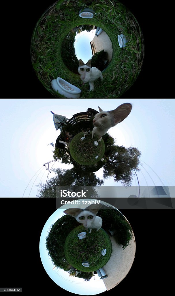 3d Weird Cat Tiny world concept, 360-Degree View Stock Photo