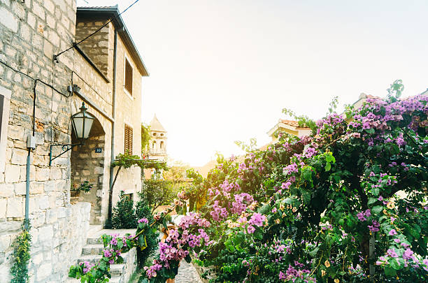 istock Streets of Dubrovnik 610441394