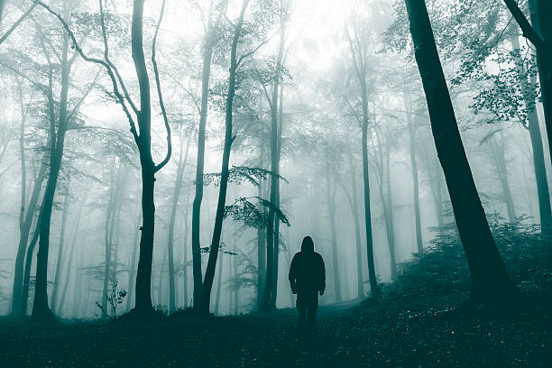dark horror man in creepy foggy forest - fairy forest fairy tale mist imagens e fotografias de stock