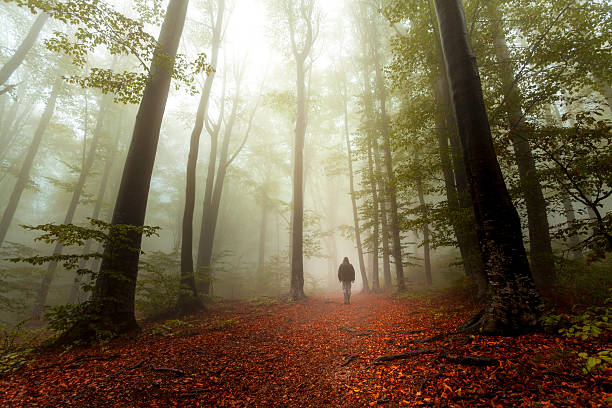 istock Dark horror man in creepy foggy forest 610441612