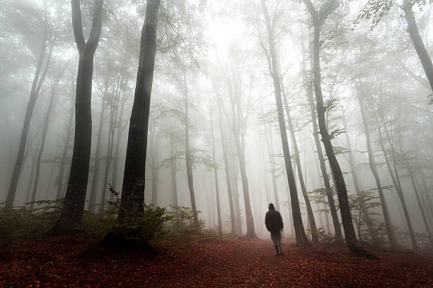 istock Dark horror man in creepy foggy forest 610441664