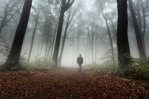 istock Dark horror man in creepy foggy forest 610441736