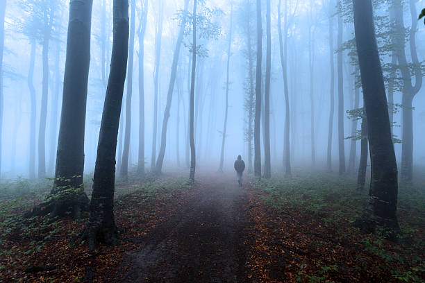 istock Dark horror man in creepy foggy forest 610442364