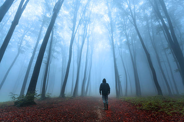 istock Dark horror man in creepy foggy forest 610442454