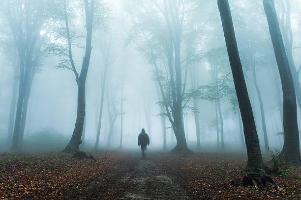 istock Dark horror man in creepy foggy forest 610443088