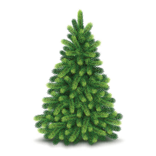 weihnachtsbaum, detaillierte vektor-illustration - christmas tree stock-grafiken, -clipart, -cartoons und -symbole