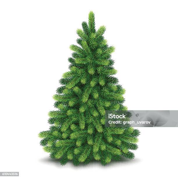 Christmas Tree Detailed Vector Illustration Stock Illustration - Download Image Now - Christmas Tree, Christmas, Vector