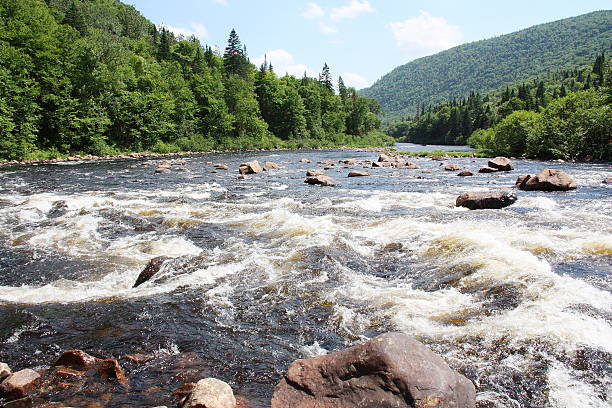 impetuosos rápidos de un río canadiense - rafting beauty in nature blue canada fotografías e imágenes de stock